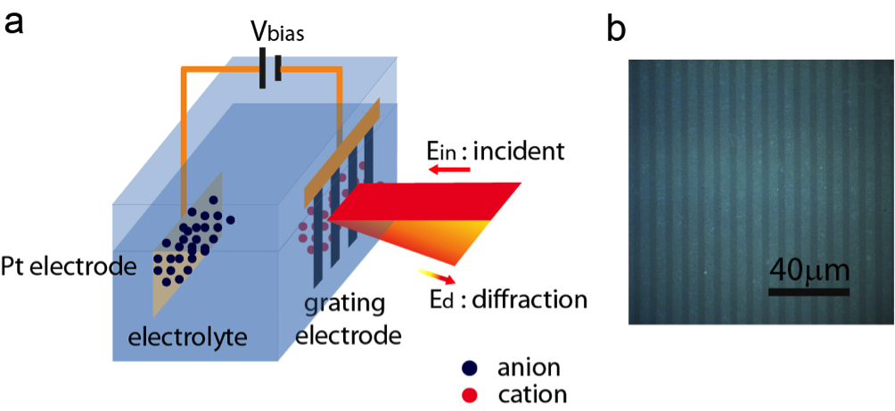 Schematic illustration of the spectroscopy design with graphene grating: a)Electrochemical cell and spectroscopy configuration (Pt = Platinum); b) Optical microscopic image of a graphene grating on fused silica. Credit: Feng Wang, Berkeley Lab