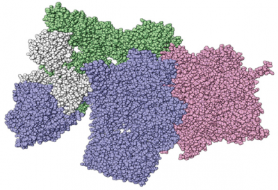 Depiction of protein complexes