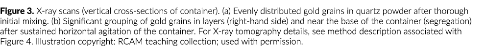 Figure 3  X-ray scans (vertical cross-sections of container)  (a) Evenly distributed gold grains in quartz powder aft   