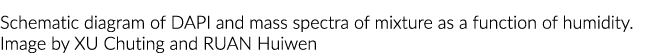 Schematic diagram of DAPI and mass spectra of mixture as a function of humidity  Image by XU Chuting and RUAN Huiwen