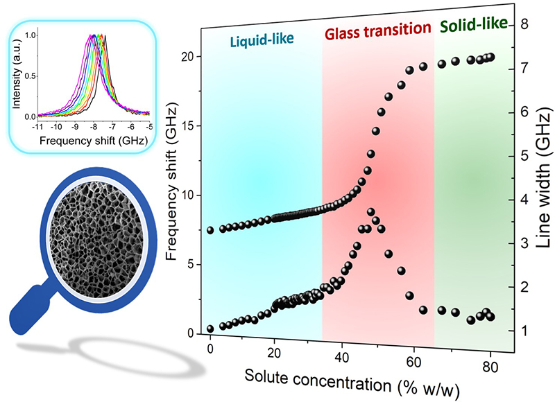 Brillouin Spectroscopy Could Revolutionise Detection Of Biomechanical