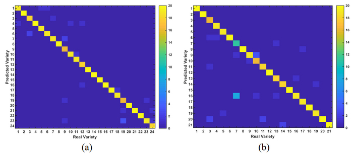 NIR spectroscopy algorithm to identify authenticity of crop varieties ...