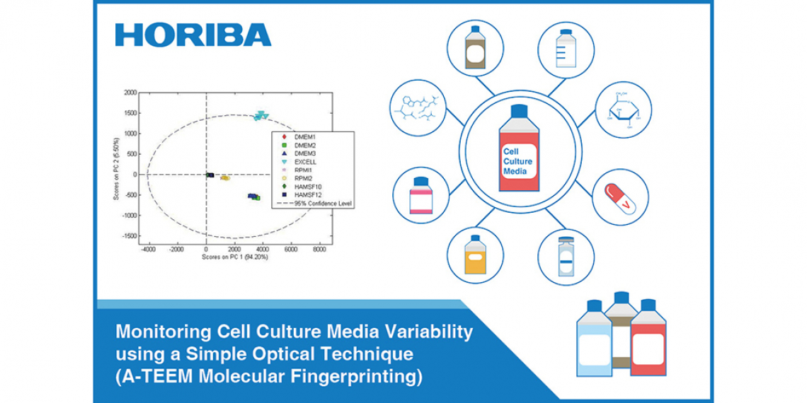 Diagram of monitoring cell culture media