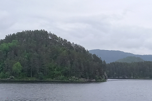 Photo of the island where Viking remains were found