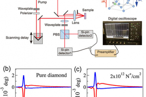 An optical setup for the transient Kerr rotation measurement