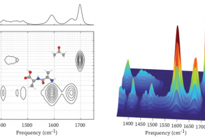 IR-DOSY spectra