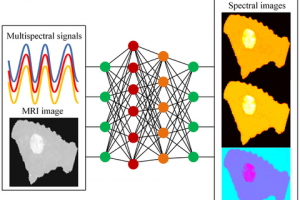 Diagram of the deep learning process 