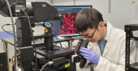 Graduate student Jiajun Du takes a stimulated Raman image of melanoma cancer cells in the lab. Credit: Caltech