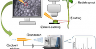 Schematic of the process