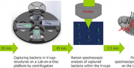 Schematic of the workflow of the Lab-on-a-Disc device