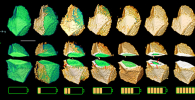 The chemical phase within the battery evolves as the charging time increases. The cut-away views reveal a change from anisotropic to isotropic phase boundary motion.