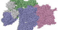 Depiction of protein complexes